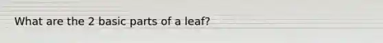 What are the 2 basic parts of a leaf?