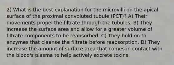 2) What is the best explanation for the microvilli on the apical surface of the proximal convoluted tubule (PCT)? A) Their movements propel the filtrate through the tubules. B) They increase the surface area and allow for a greater volume of filtrate components to be reabsorbed. C) They hold on to enzymes that cleanse the filtrate before reabsorption. D) They increase the amount of surface area that comes in contact with the blood's plasma to help actively excrete toxins.