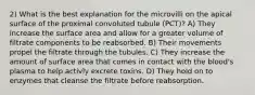 2) What is the best explanation for the microvilli on the apical surface of the proximal convoluted tubule (PCT)? A) They increase the surface area and allow for a greater volume of filtrate components to be reabsorbed. B) Their movements propel the filtrate through the tubules. C) They increase the amount of surface area that comes in contact with the blood's plasma to help activly excrete toxins. D) They hold on to enzymes that cleanse the filtrate before reabsorption.