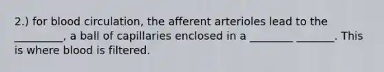 2.) for blood circulation, the afferent arterioles lead to the _________, a ball of capillaries enclosed in a ________ _______. This is where blood is filtered.