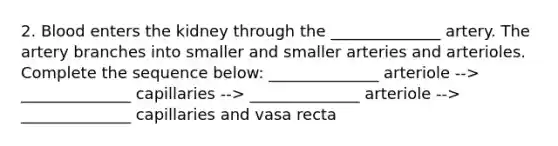 2. Blood enters the kidney through the ______________ artery. The artery branches into smaller and smaller arteries and arterioles. Complete the sequence below: ______________ arteriole --> ______________ capillaries --> ______________ arteriole --> ______________ capillaries and vasa recta