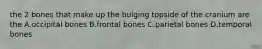 the 2 bones that make up the bulging topside of the cranium are the A.occipital bones B.frontal bones C.parietal bones D.temporal bones