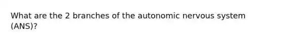 What are the 2 branches of the autonomic nervous system (ANS)?