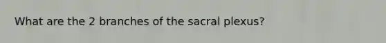 What are the 2 branches of the sacral plexus?