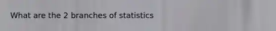 What are the 2 branches of statistics