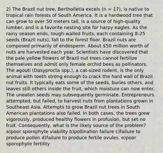 2) The Brazil nut tree, Bertholletia excels (n = 17), is native to tropical rain forests of South America. It is a hardwood tree that can grow to over 50 meters tall, is a source of high-quality lumber, and is a favorite nesting site for harpy eagles. As the rainy season ends, tough-walled fruits, each containing 8-25 seeds (Brazil nuts), fall to the forest floor. Brazil nuts are composed primarily of endosperm. About 50 million worth of nuts are harvested each year. Scientists have discovered that the pale yellow flowers of Brazil nut trees cannot fertilize themselves and admit only female orchid bees as pollinators. The agouti (Dasyprocta spp.), a cat-sized rodent, is the only animal with teeth strong enough to crack the hard wall of Brazil nut fruits. It typically eats some of the seeds, buries others, and leaves still others inside the fruit, which moisture can now enter. The uneaten seeds may subsequently germinate. Entrepreneurs attempted, but failed, to harvest nuts from plantations grown in Southeast Asia. Attempts to grow Brazil nut trees in South American plantations also failed. In both cases, the trees grew vigorously, produced healthy flowers in profusion, but set no fruit. Consequently, what is the likely source of the problem? a)poor sporophyte viability b)pollination failure c)failure to produce pollen d)failure to produce fertile ovules. e)poor sporophyte fertility