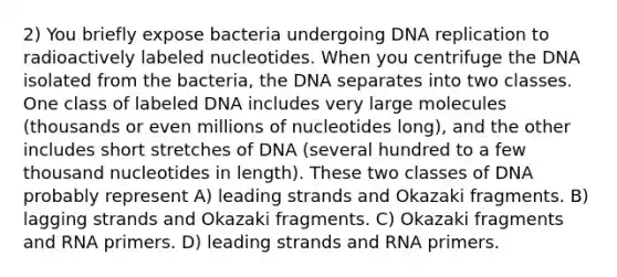 2) You briefly expose bacteria undergoing <a href='https://www.questionai.com/knowledge/kofV2VQU2J-dna-replication' class='anchor-knowledge'>dna replication</a> to radioactively labeled nucleotides. When you centrifuge the DNA isolated from the bacteria, the DNA separates into two classes. One class of labeled DNA includes very large molecules (thousands or even millions of nucleotides long), and the other includes short stretches of DNA (several hundred to a few thousand nucleotides in length). These two classes of DNA probably represent A) leading strands and Okazaki fragments. B) lagging strands and Okazaki fragments. C) Okazaki fragments and RNA primers. D) leading strands and RNA primers.