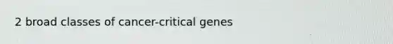 2 broad classes of cancer-critical genes