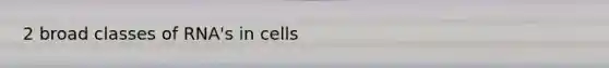 2 broad classes of RNA's in cells