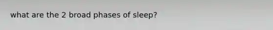 what are the 2 broad phases of sleep?