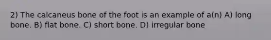 2) The calcaneus bone of the foot is an example of a(n) A) long bone. B) flat bone. C) short bone. D) irregular bone