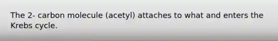 The 2- carbon molecule (acetyl) attaches to what and enters the Krebs cycle.