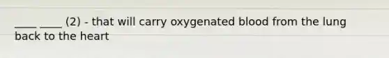 ____ ____ (2) - that will carry oxygenated blood from the lung back to <a href='https://www.questionai.com/knowledge/kya8ocqc6o-the-heart' class='anchor-knowledge'>the heart</a>