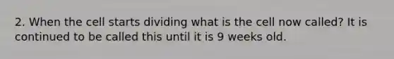 2. When the cell starts dividing what is the cell now called? It is continued to be called this until it is 9 weeks old.