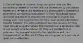 2) The cell walls of bacteria, fungi, and plant cells and the extracellular matrix of animal cells are all external to the plasma membrane. Which of the following is a characteristic common to all of these extracellular structures? A) They must block water and small molecules to regulate the exchange of matter and energy with their environment. B) They must permit information transfer between the cell's cytoplasm and the nucleus. C) They must provide a rigid structure that maintains an appropriate ratio of cell surface area to volume. D) They are constructed of polymers that are synthesized in the cytoplasm and then transported out of the cell. E) They are composed of a mixture of lipids and nucleotides.