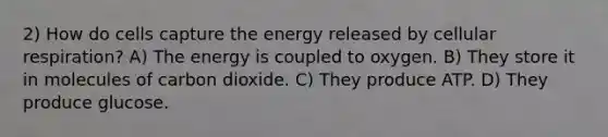 2) How do cells capture the energy released by cellular respiration? A) The energy is coupled to oxygen. B) They store it in molecules of carbon dioxide. C) They produce ATP. D) They produce glucose.