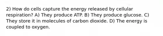 2) How do cells capture the energy released by cellular respiration? A) They produce ATP. B) They produce glucose. C) They store it in molecules of carbon dioxide. D) The energy is coupled to oxygen.