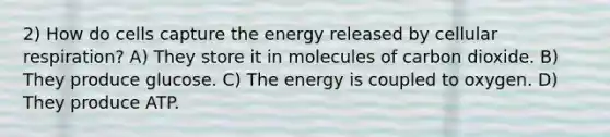 2) How do cells capture the energy released by cellular respiration? A) They store it in molecules of carbon dioxide. B) They produce glucose. C) The energy is coupled to oxygen. D) They produce ATP.