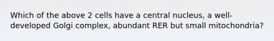 Which of the above 2 cells have a central nucleus, a well-developed Golgi complex, abundant RER but small mitochondria?