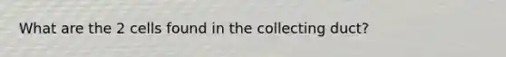 What are the 2 cells found in the collecting duct?