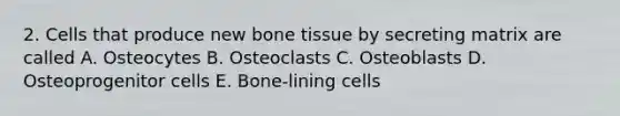 2. Cells that produce new bone tissue by secreting matrix are called A. Osteocytes B. Osteoclasts C. Osteoblasts D. Osteoprogenitor cells E. Bone-lining cells