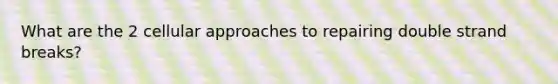 What are the 2 cellular approaches to repairing double strand breaks?