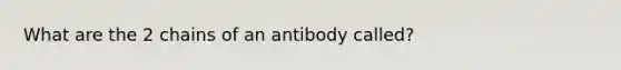 What are the 2 chains of an antibody called?