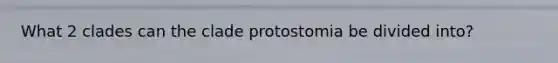 What 2 clades can the clade protostomia be divided into?