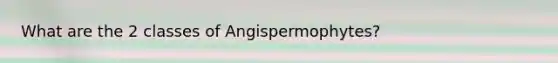 What are the 2 classes of Angispermophytes?