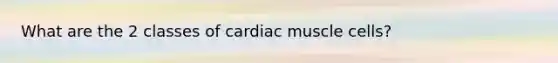 What are the 2 classes of cardiac muscle cells?