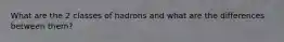 What are the 2 classes of hadrons and what are the differences between them?