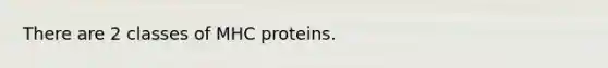 There are 2 classes of MHC proteins.