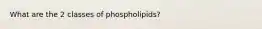 What are the 2 classes of phospholipids?