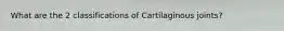 What are the 2 classifications of Cartilaginous joints?