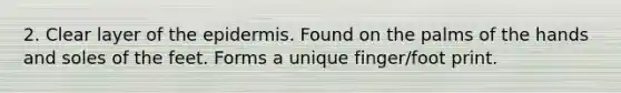 2. Clear layer of the epidermis. Found on the palms of the hands and soles of the feet. Forms a unique finger/foot print.