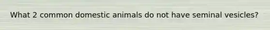 What 2 common domestic animals do not have seminal vesicles?