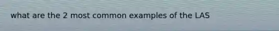 what are the 2 most common examples of the LAS