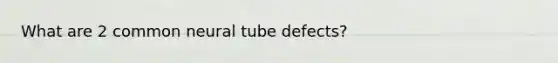 What are 2 common neural tube defects?