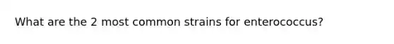 What are the 2 most common strains for enterococcus?