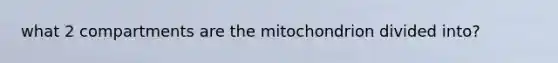 what 2 compartments are the mitochondrion divided into?