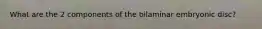 What are the 2 components of the bilaminar embryonic disc?
