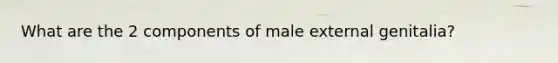 What are the 2 components of male external genitalia?