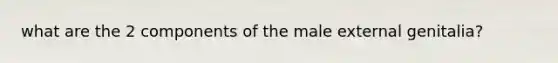 what are the 2 components of the male external genitalia?