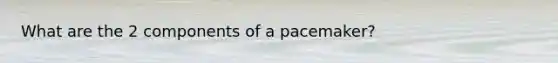 What are the 2 components of a pacemaker?