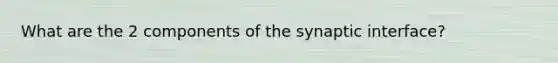 What are the 2 components of the synaptic interface?