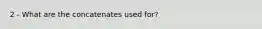 2 - What are the concatenates used for?