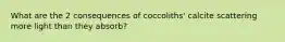 What are the 2 consequences of coccoliths' calcite scattering more light than they absorb?