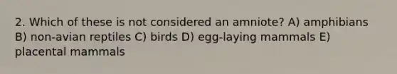 2. Which of these is not considered an amniote? A) amphibians B) non-avian reptiles C) birds D) egg-laying mammals E) placental mammals