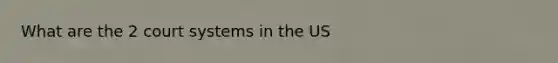 What are the 2 court systems in the US