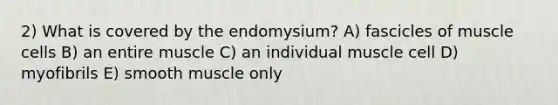 2) What is covered by the endomysium? A) fascicles of muscle cells B) an entire muscle C) an individual muscle cell D) myofibrils E) smooth muscle only